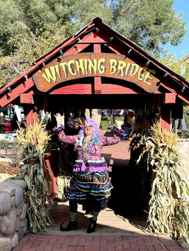 Gardner Village Witches - witch on the witching bridge at gardner vilage 