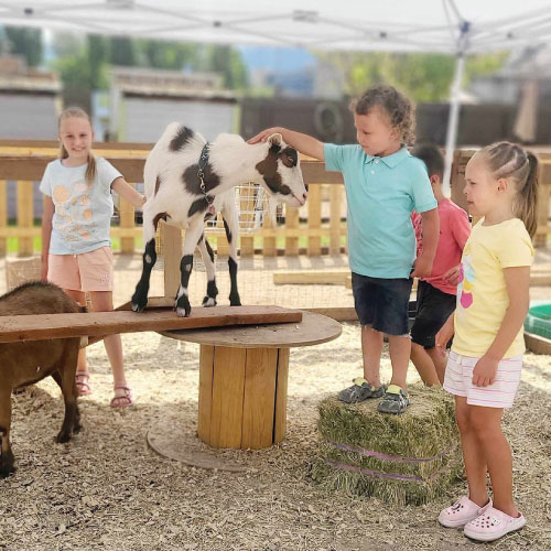 AUTISM AWARENESS MEET UP <BR>RICOCHET CANYON