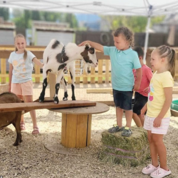 little buckaroo petting zoo