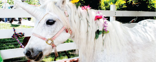 PETTING ZOO & UNICORN PONY