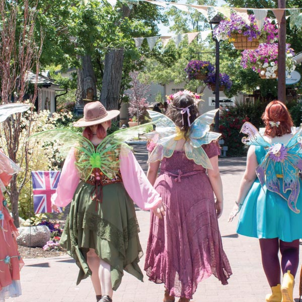 lady fairies walking down the path lady fairies walking down the path